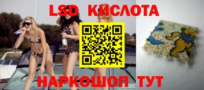 твердый Лесосибирск